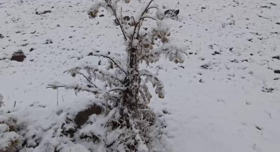 3 ilimiz beyaz örtüyle kaplandı! Kar kalınlığı 26 santimetre 12